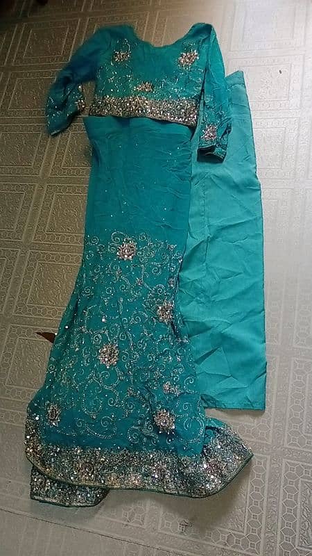 Blue saree with silver embroidery 4