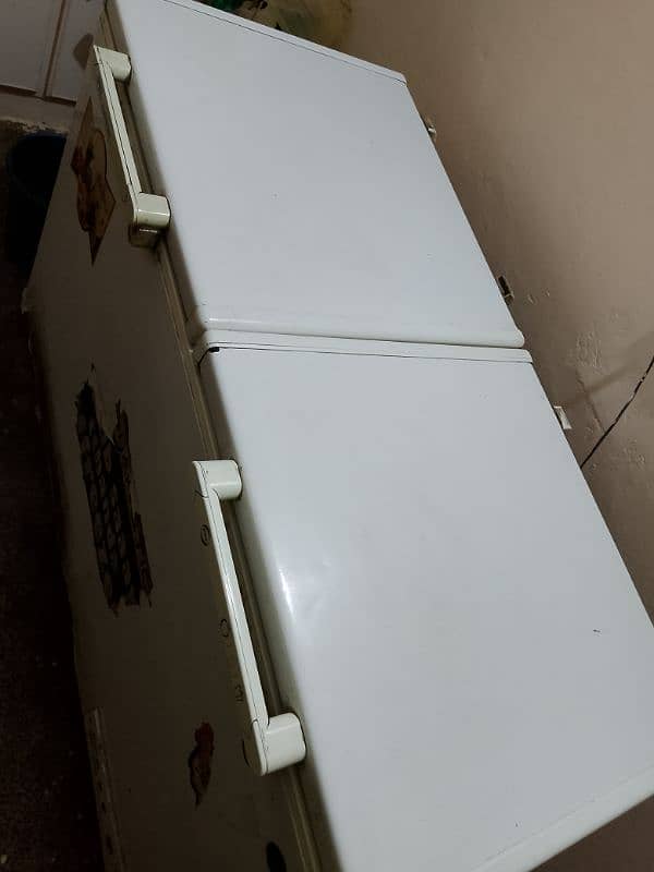 urgent sale. any buyer's  50000  freezer & 0