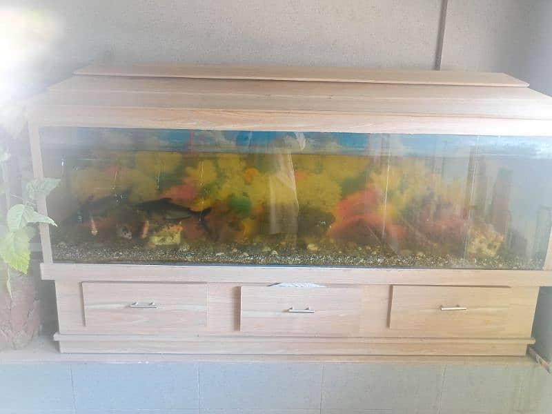 fishing aquarium 0