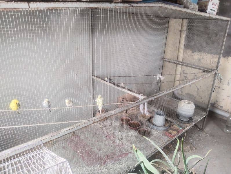 Master cage full size for birds,chicks etc with heavy iron material 0