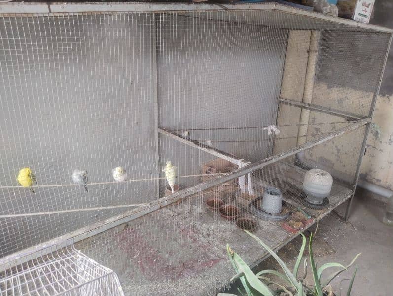 Master cage full size for birds,chicks etc with heavy iron material 5