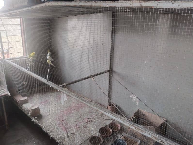 Master cage full size for birds,chicks etc with heavy iron material 6