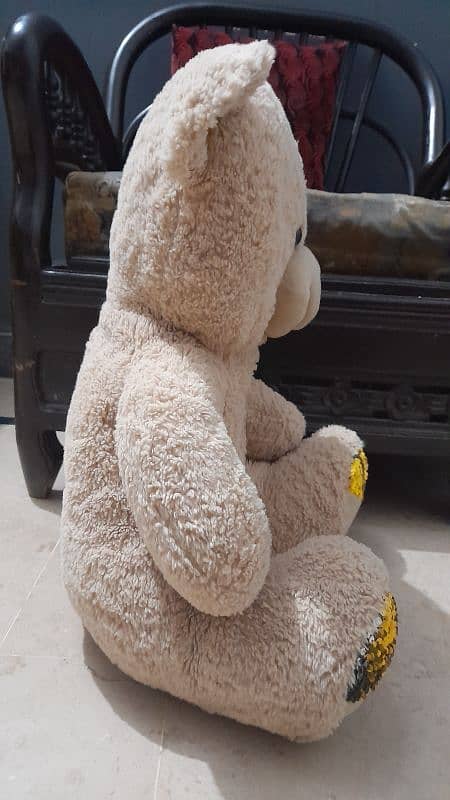 large size Teddy bear 4