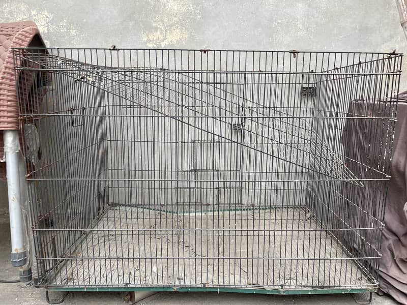 Big cage for birds ans other animals 1