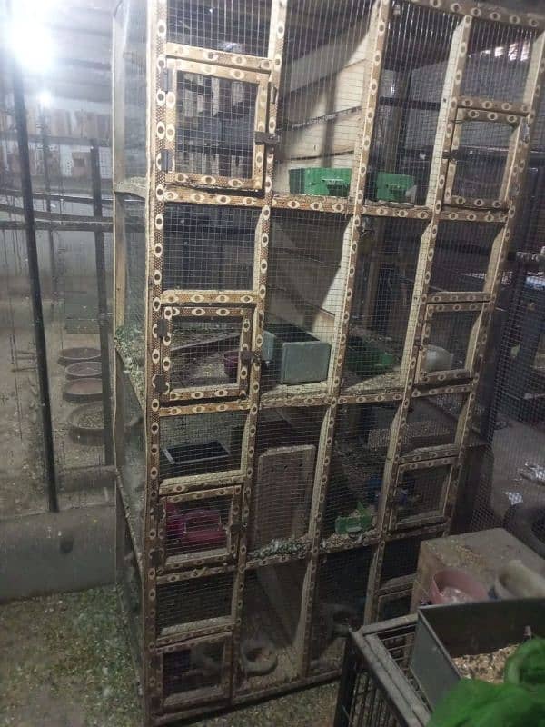 cage for sale 0