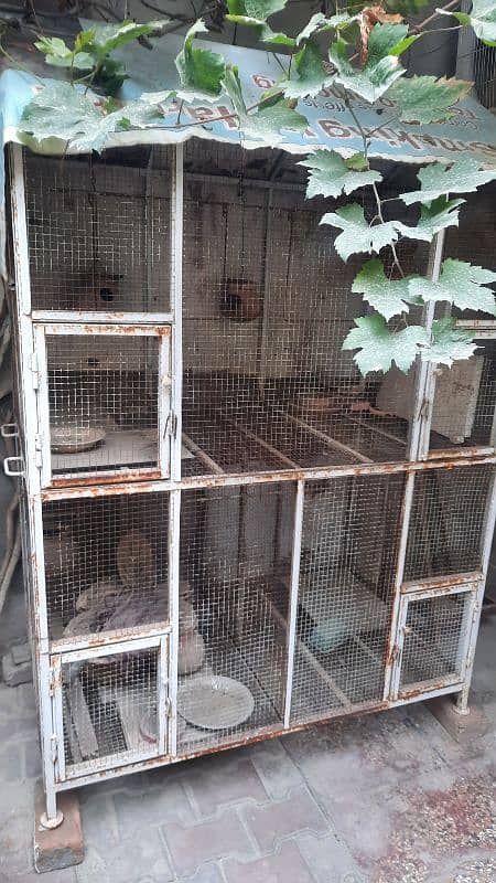 Heavy Cage for birds 0