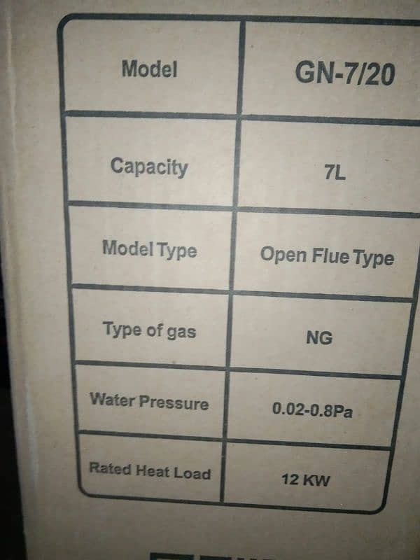 GNE instant Gas Geyser 1