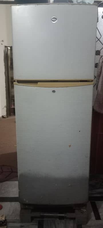 PEL FRIDGE LARGE SIZE 1