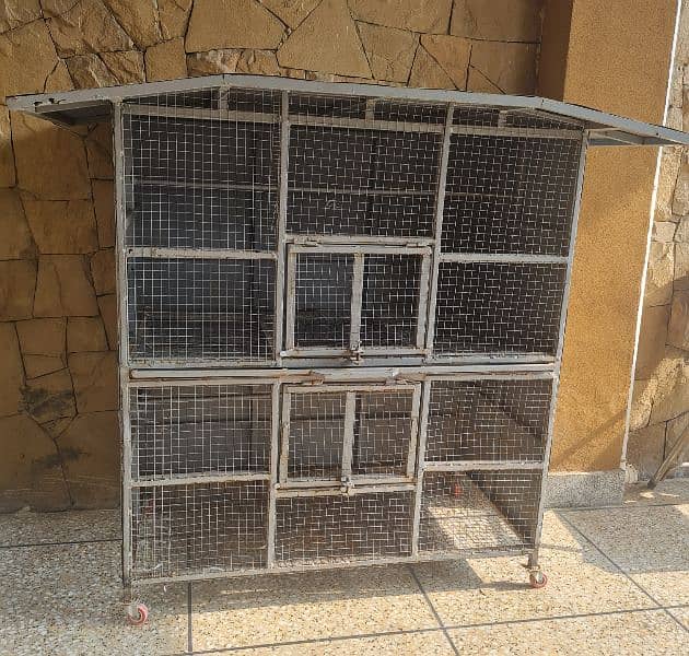 Birds and hen cage 1