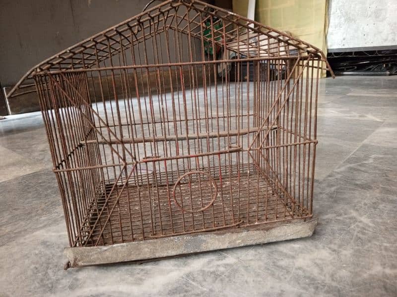 pair of birds with small cage 4