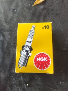 N G K Spark Plugs