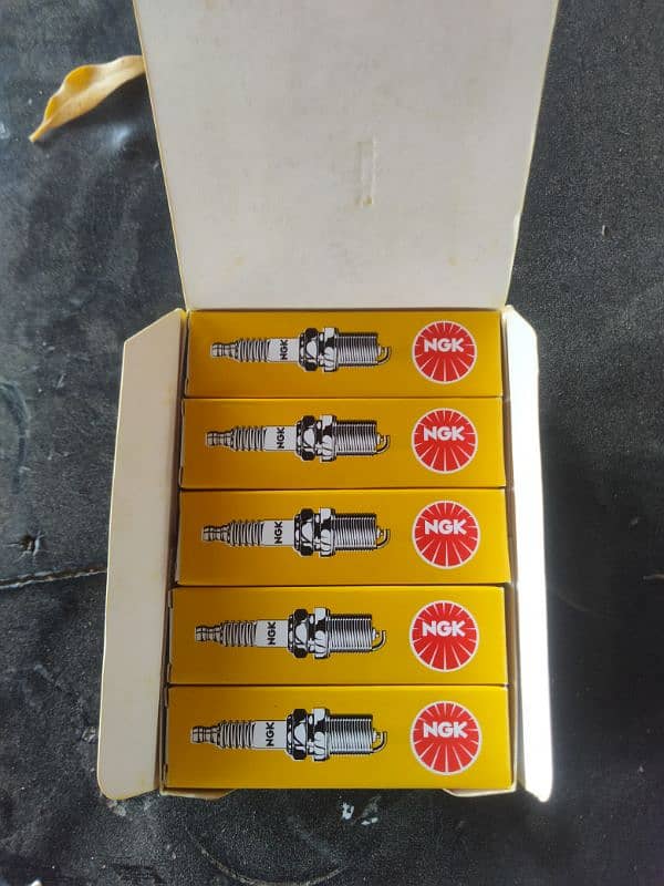 N G K Spark Plugs 2