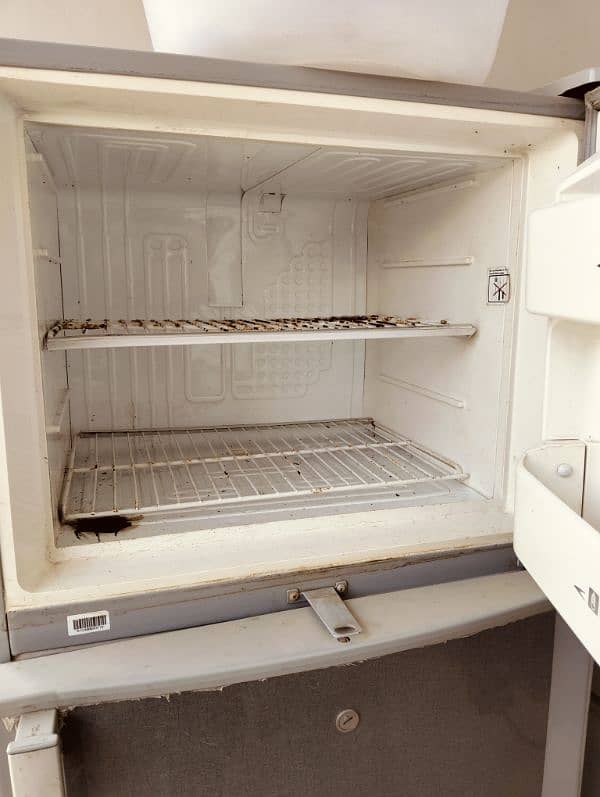 fridge and freezer 1