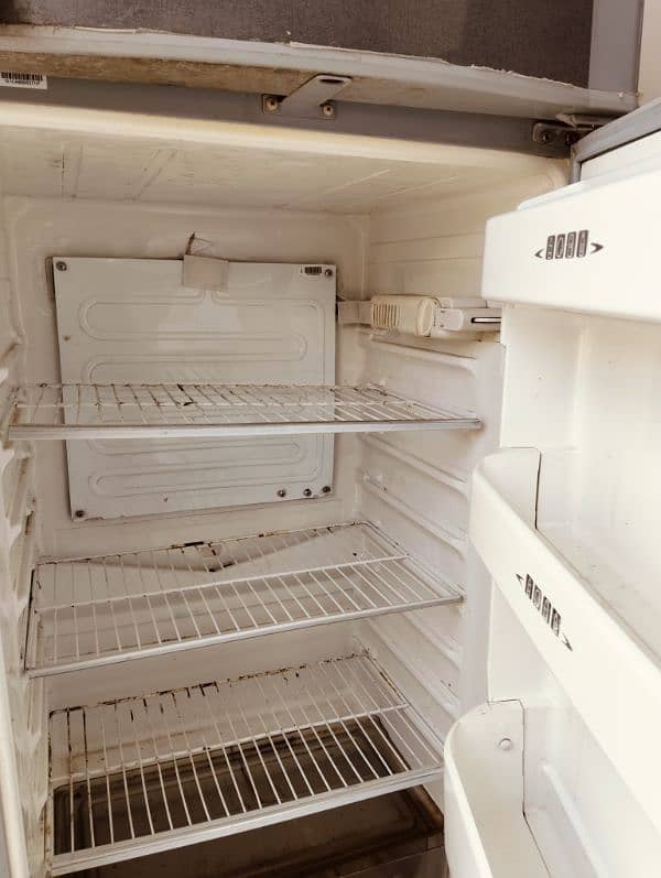 fridge and freezer 2