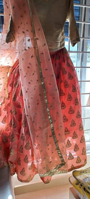 Banarsi style lehnga 1