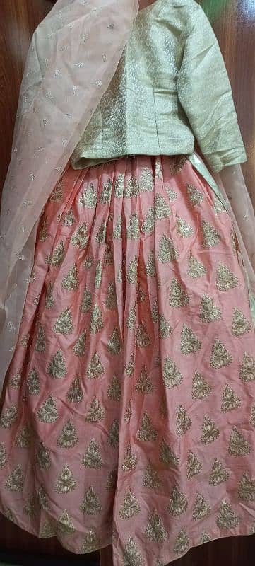 Banarsi style lehnga 6