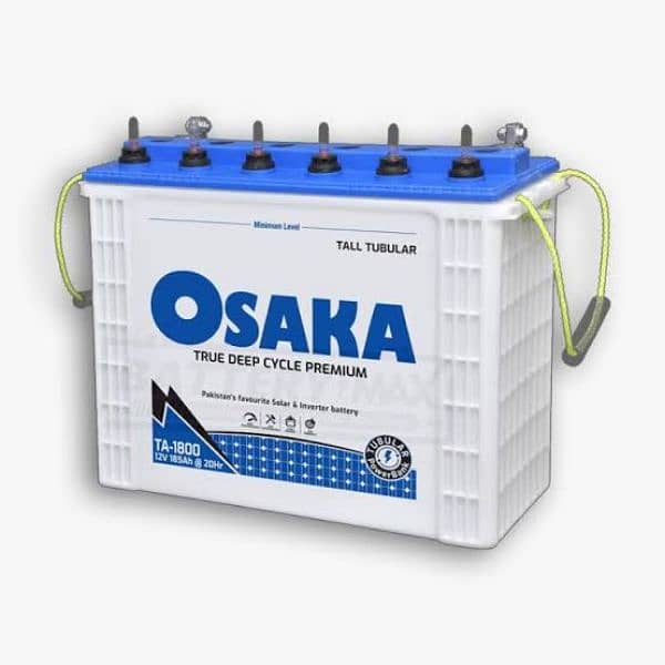 UPS 3 KW with 2 Osaka Tubelear batteries 1