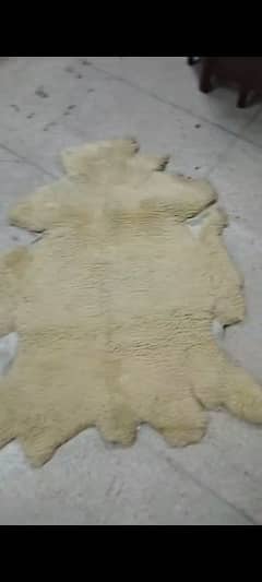 Rug