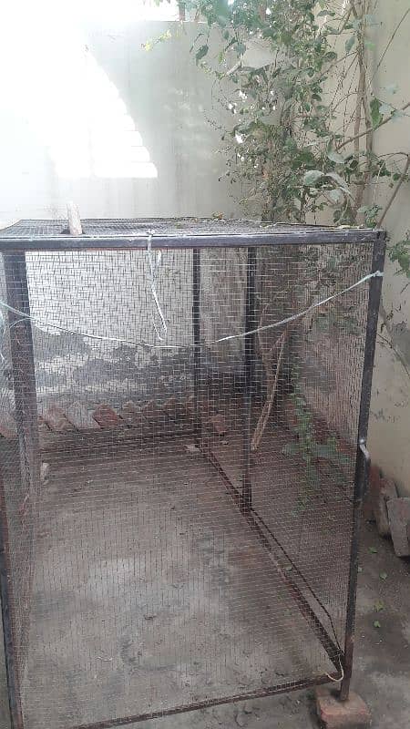 Animals Hens and birds iron cage 0