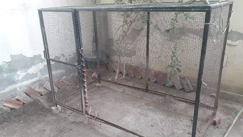 Animals Hens and birds iron cage 1