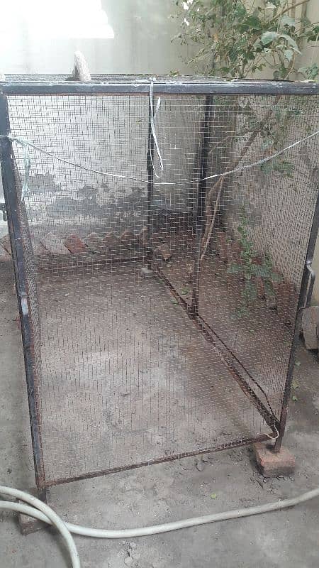 Animals Hens and birds iron cage 4