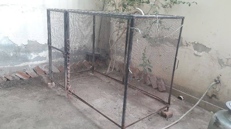 Animals Hens and birds iron cage 6