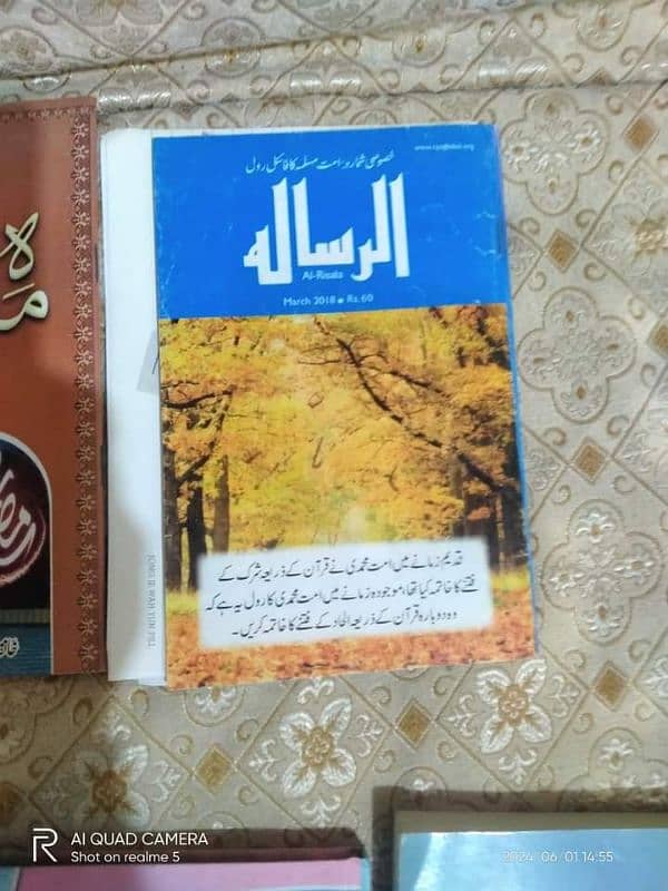 استعمال شدہ. مختلف مضامین کی اسلامی کتابیں فروخت 6