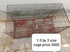 cages and parrot