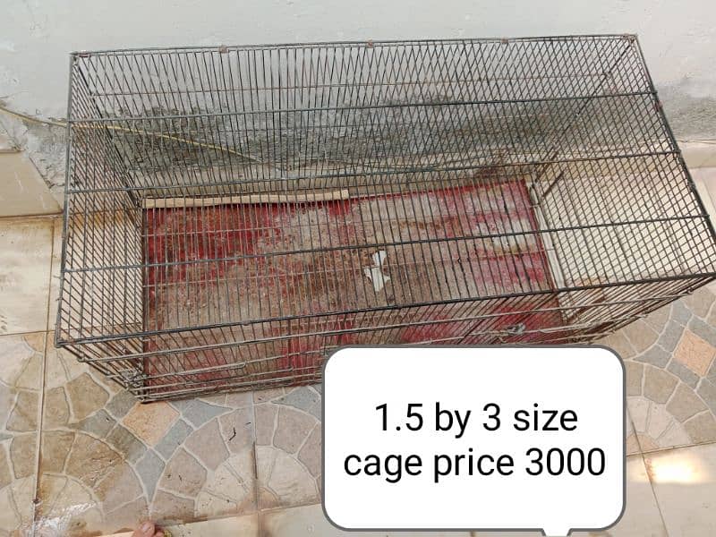 cage or parrot 2