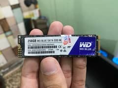 WD BLUE 256 gb m2 sata ssd