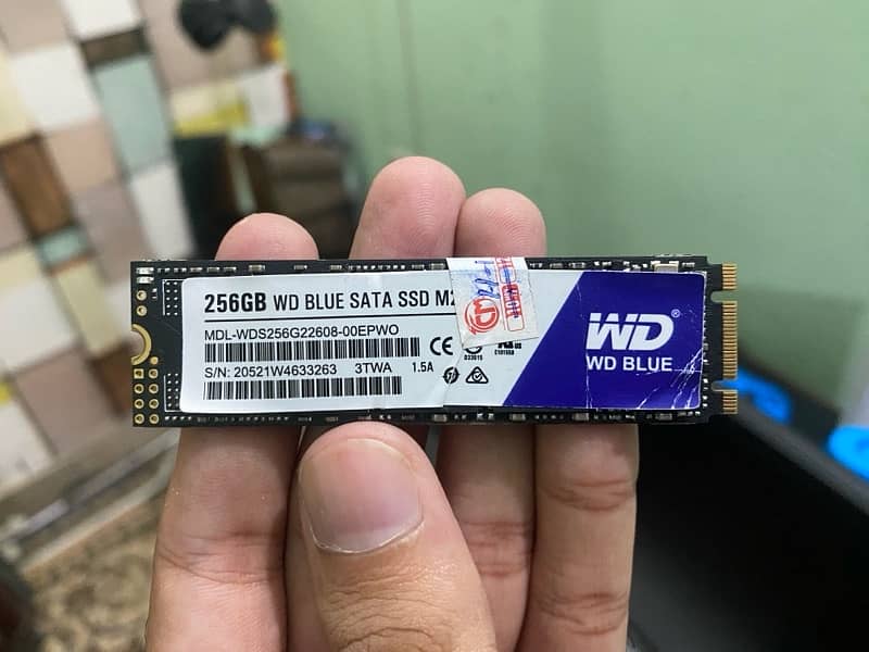 WD BLUE 256 gb m2 sata ssd 0