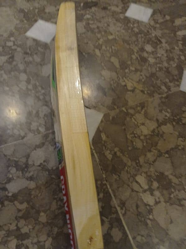 Willow Hard ball cricket bat 2