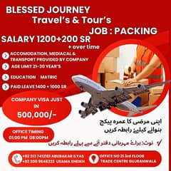 Saudia 2 year work Visa(Visa Consultant)