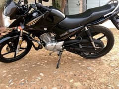 Yamaha YBR 125 for Sale