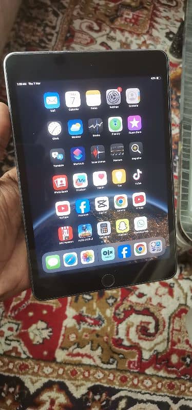 iPad mini 5 0