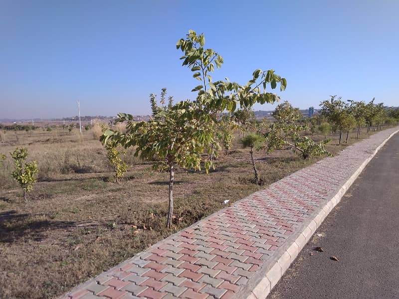 272sq yd plot in Precicnt-6 FOR SALE. Most developing precicnt of BTK near Bahria Heights 16