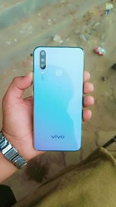 Vivo