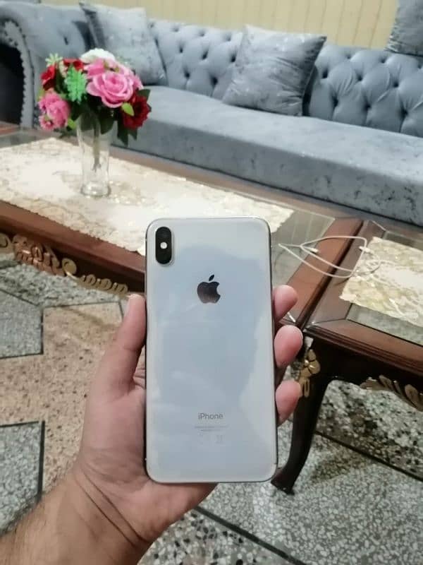 iPhone xs max waterpack 0