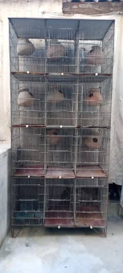 12 portion cage