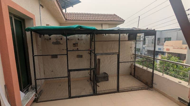 Pigeon Cage 0