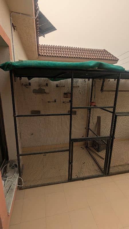 Pigeon Cage 1