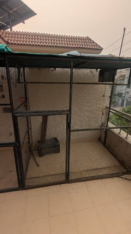 Pigeon Cage 2