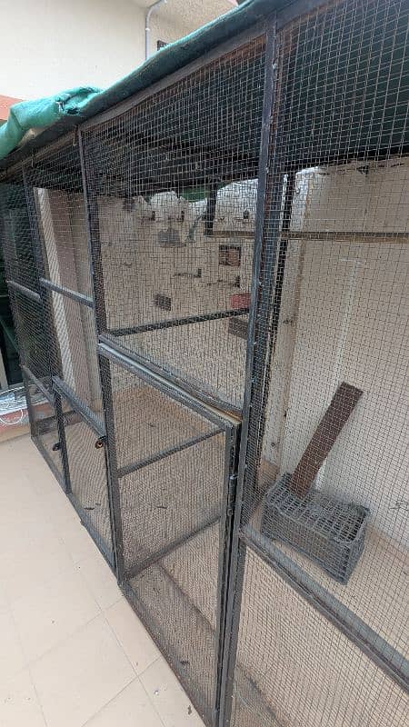 Pigeon Cage 4