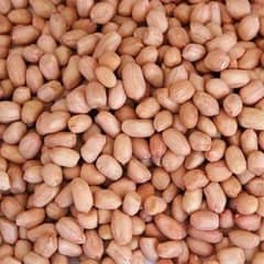 Peanut (Mongphali) without shell on low rates