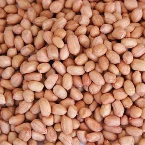 Peanut (Mongphali) without shell on low rates 0