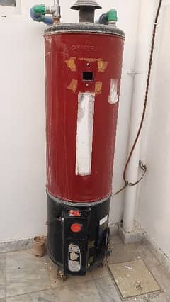 25 Gallon Geyser For Sale