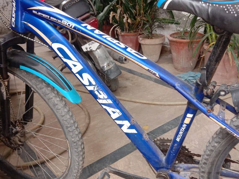 Caspian sports cycle 0