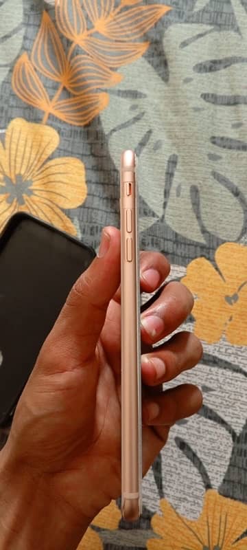 iphone 8plus 64gb pta approved 1