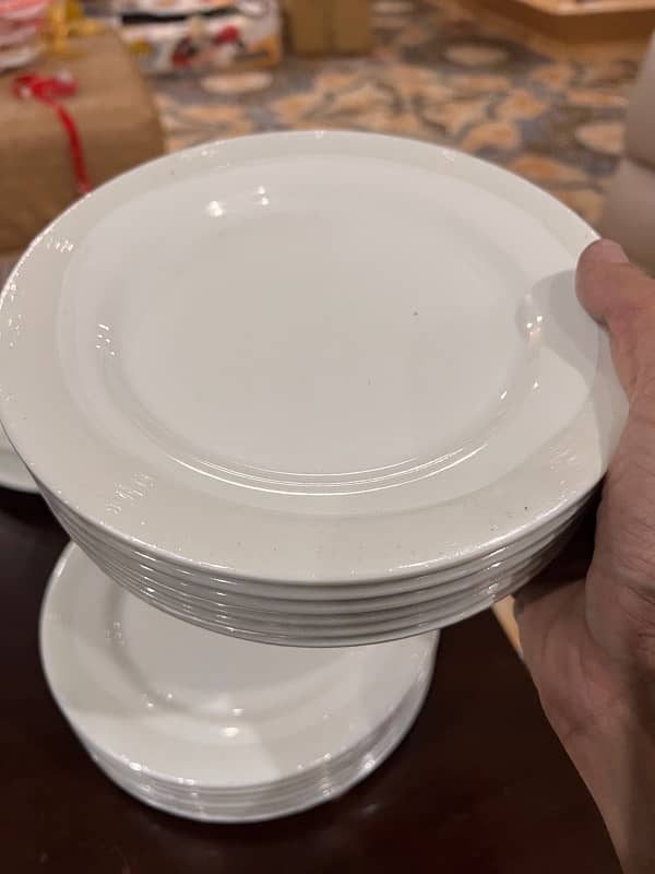 brand new restaurant crockery available for sale 2