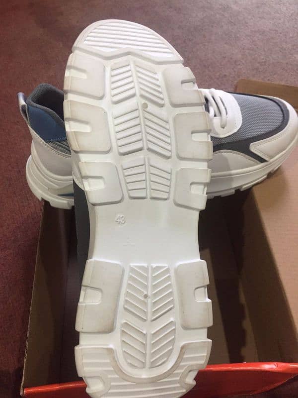 new shose v/s white & grey 40 to 43 number. . . . 4